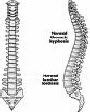 Sound Holistic Health Chiropractic